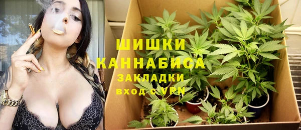 apvp Алзамай