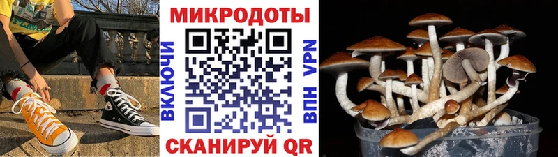 магазин продажи Асбест Галлюциногенные грибы MAGIC MUSHROOMS